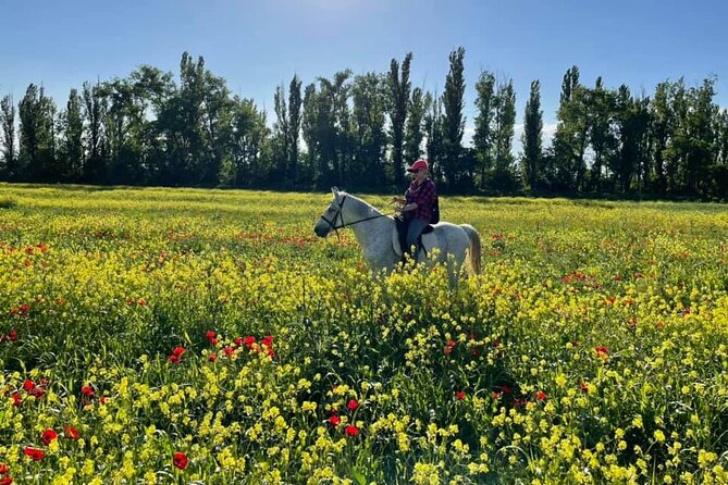 Private Horse Ridding tour - Is $109 per person good value?