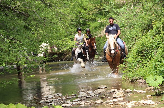 Private Horse Ride Adventure in Modica with Instructor - Horses, equipment, and safety