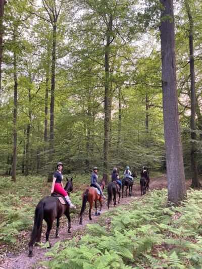 Private Horse Ride experience