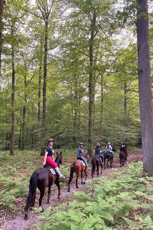 Private Horse Ride experience - What the ride feels like for beginners