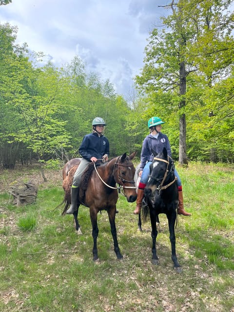Private Horse Ride experience - Safety, limits, and practical comfort
