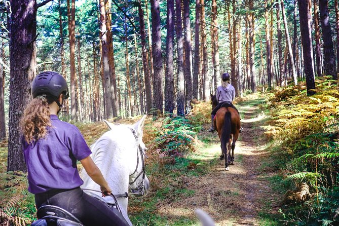 Private Horse Ride in Madrid natural park reserve - Key points to know before you ride