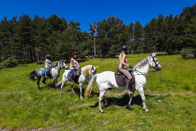 Private Horse Ride in Madrid natural park reserve - From Madrid to the Los Molinos stables
