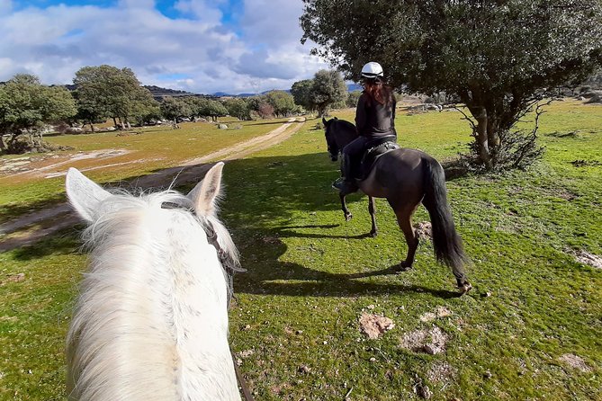 Private Horse Ride in Madrid natural park reserve - How demanding is the ride?