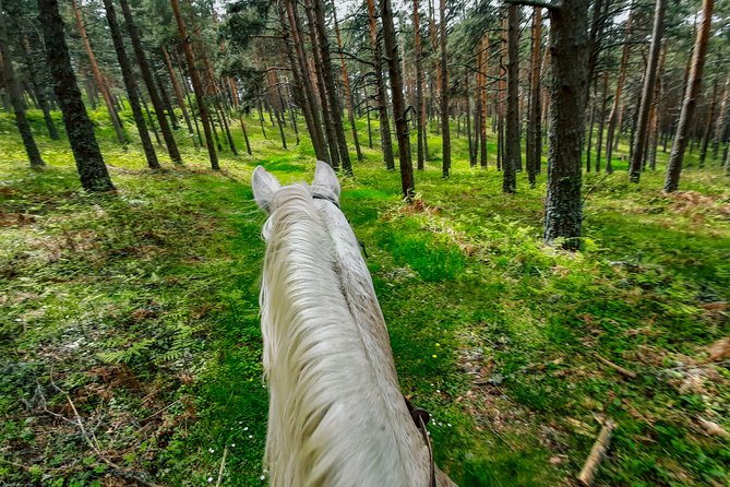 Private Horse Ride in Madrid natural park reserve - Is $112 a fair price?
