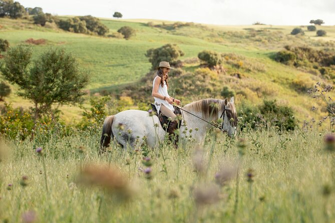 Private Horse Riding Adventure in Tbilisi - Preparing the horse before you ride