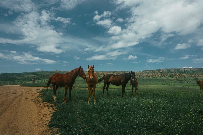 Private Horse Riding Adventure in Tbilisi - Timing, weather, and cancellation details