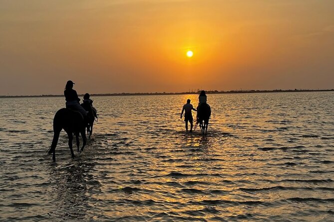 Private Horse Riding Experience at Red Sea - Key points at a glance