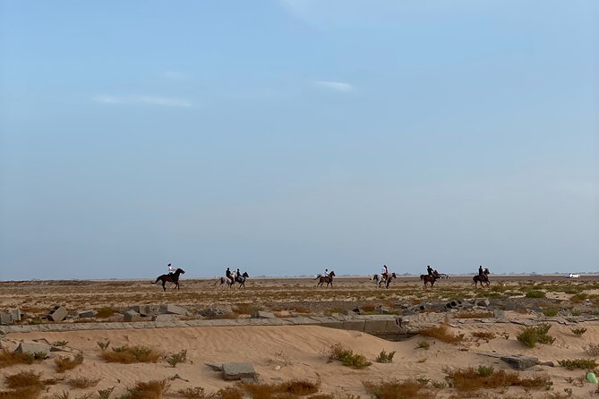 Private Horse Riding Experience at Red Sea - Why this Jeddah ride feels different