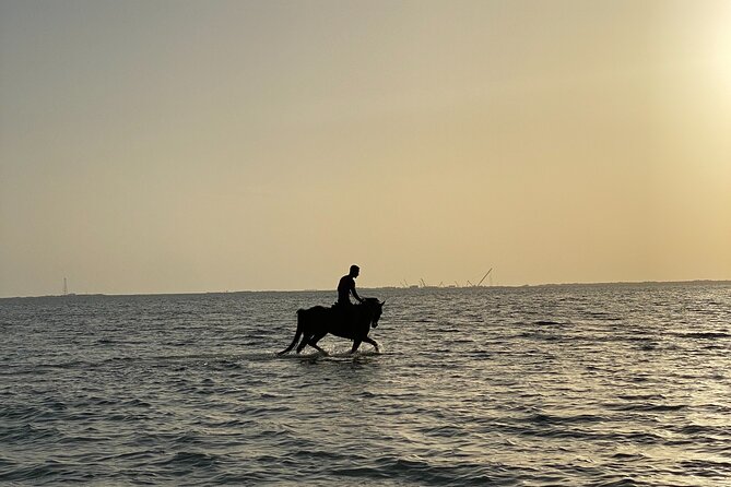 Private Horse Riding Experience at Red Sea - Riding toward Dahban Beach