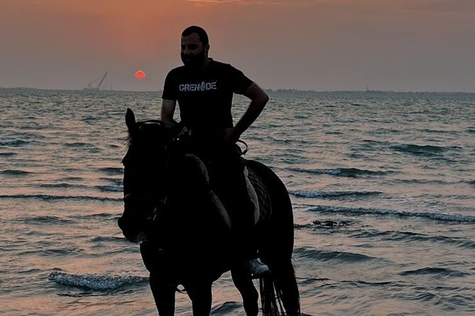 Private Horse Riding Experience at Red Sea - The sunset at Dahban Beach