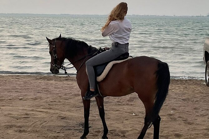Private Horse Riding Experience at Red Sea - The horses and the local handlers