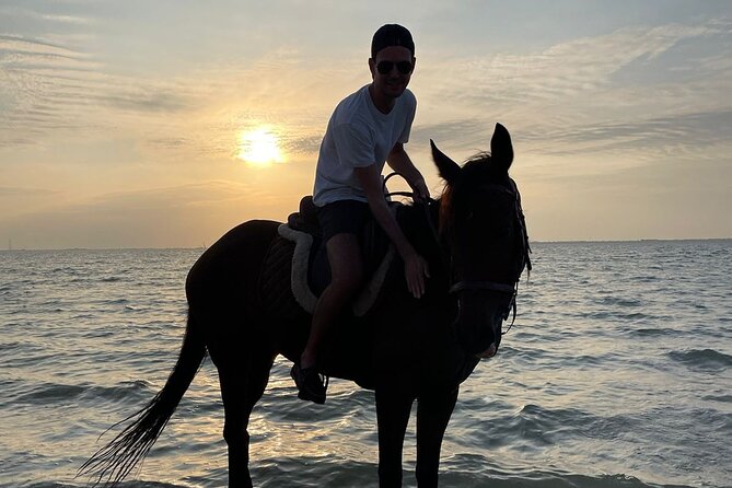 Private Horse Riding Experience at Red Sea - Who will enjoy this most?