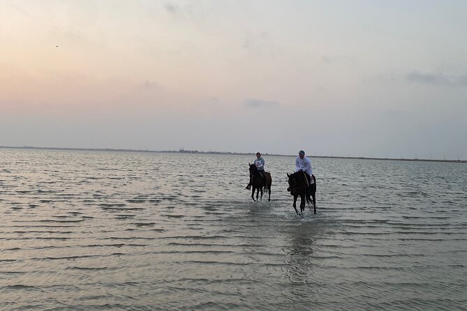 Private Horse Riding Experience at Red Sea - Timing, weather, and practical planning