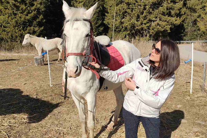 Private Horse Riding in the Balkan from Sofia - Teteven, forests, and open mountain views