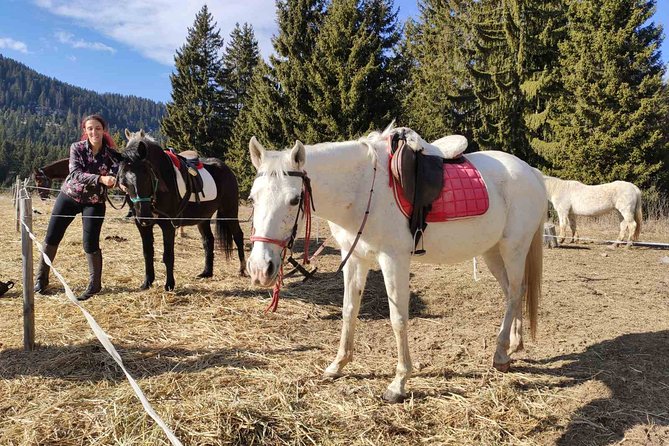 Private Horse Riding in the Balkan from Sofia - Vitosha Mountain, Glozhene Monastery, and Morovitsa Cave