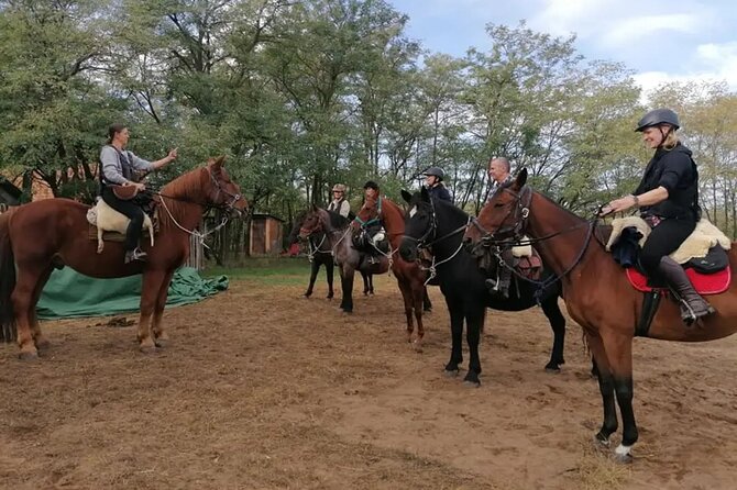 Private Horse Riding near Budapest with transport - Forest riding for roughly 90 minutes