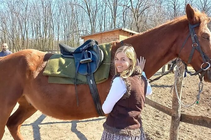 Private Horse Riding near Budapest with transport - Is $189 good value?