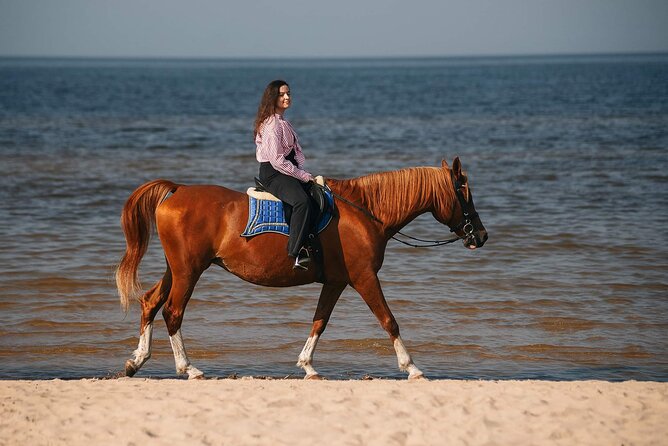 Private Horse Riding on the Beach in Riga - Key points to know before booking