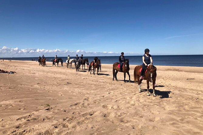 Private Horse Riding on the Beach in Riga - From Riga streets to the seaside