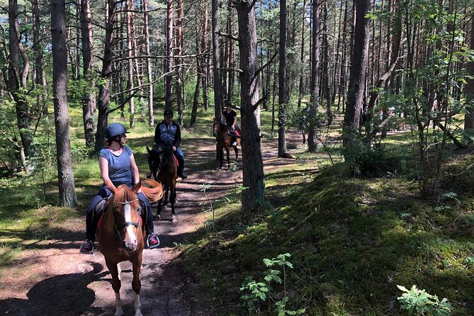 Private Horse Riding on the Beach in Riga - What the private format changes