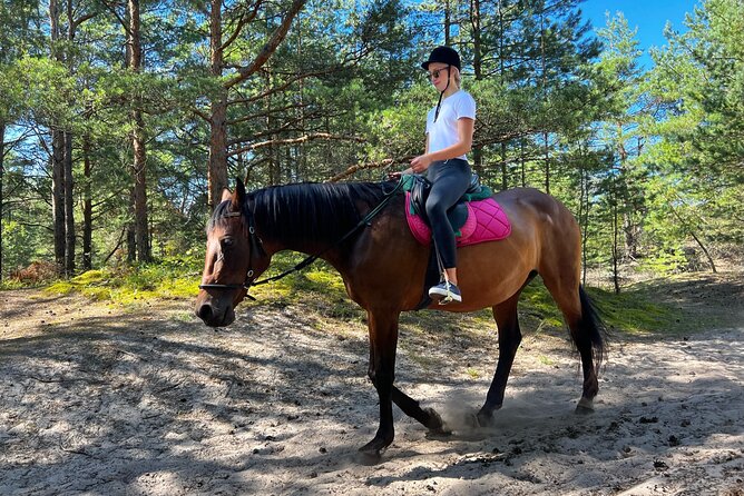Private Horse Riding on the Beach in Riga - Is $150.63 a fair price for one hour?