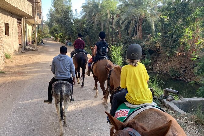 Private Horse Riding Tour in Luxor West Bank - Horses, guides, and the level of personal care
