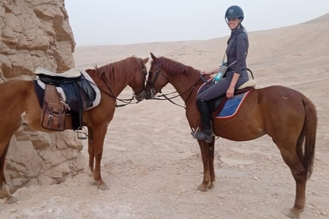 Private Horse Riding Tour in Luxor West Bank - What the $12 price really offers