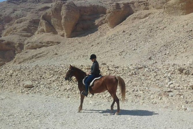 Private Horse Riding Tour in Luxor West Bank - Timing, weather, and practical planning