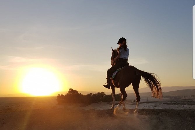 Private Horse Riding Tour in Luxor West Bank - Who will enjoy this Luxor ride most