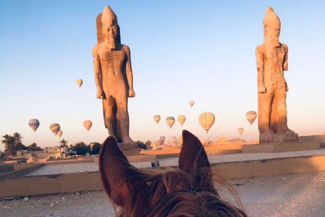 Private Horse Riding Tour in Luxor West Bank - Should you book the private horseback ride?