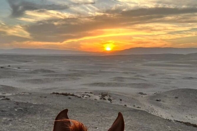 Private Horse Riding Tour in Luxor West Bank - The sunrise balloon ride is the signature choice