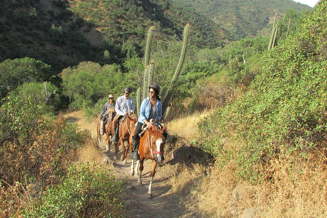 Private Horseback Adventure in the Andes, with Picnic & Wine - Key things to know before you book