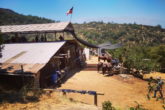 Private Horseback Adventure in the Andes, with Picnic & Wine - The picnic at the arriero ranch