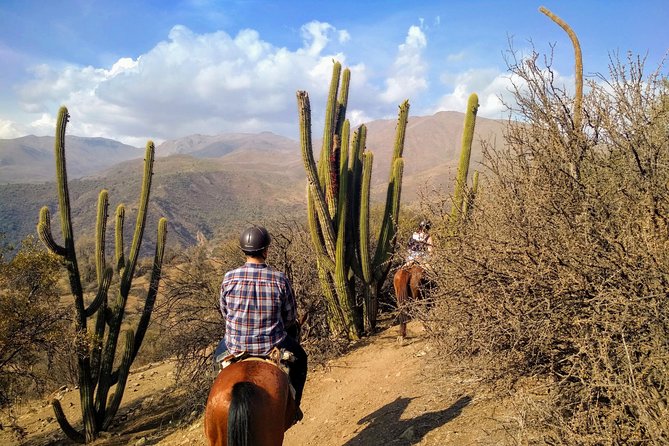 Private Horseback Adventure in the Andes, with Picnic & Wine - Guides who shape the day