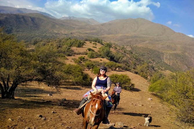 Private Horseback Adventure in the Andes, with Picnic & Wine - Sunset rides and seasonal choices