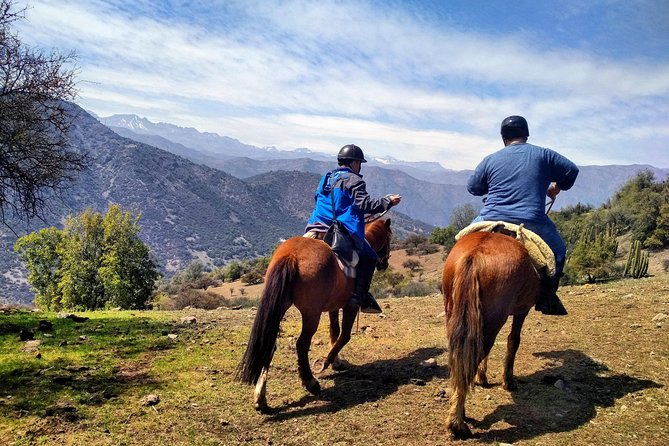 Private Horseback Adventure in the Andes, with Picnic & Wine - Choosing a Criollo horse and getting ready