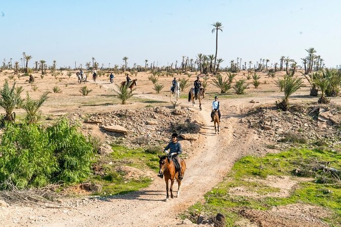 Private horseback ride in the Palmeraie of Marrakech - Key points at a glance