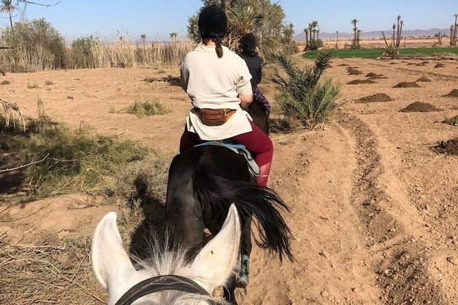 Private horseback ride in the Palmeraie of Marrakech - A useful outing for families and nervous beginners