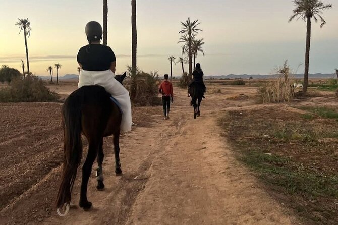 Private horseback ride in the Palmeraie of Marrakech - Mint tea under shade at a Berber house