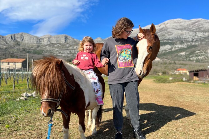 Private Horseback Riding and Family Time in Konavle Region - Meeting the horses and building confidence