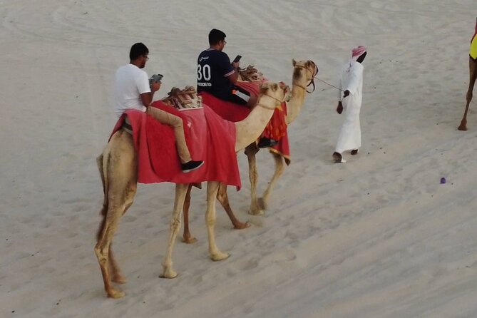 Private Horseback Riding Experience in Doha - What the private format changes