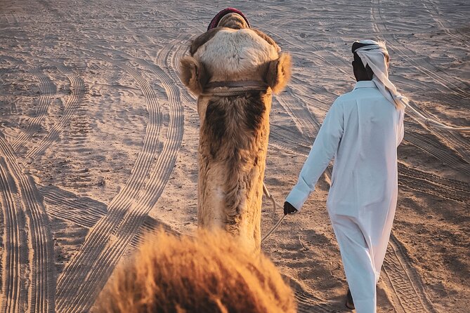 Private Horseback Riding Experience in Doha - Is $140 a fair price?