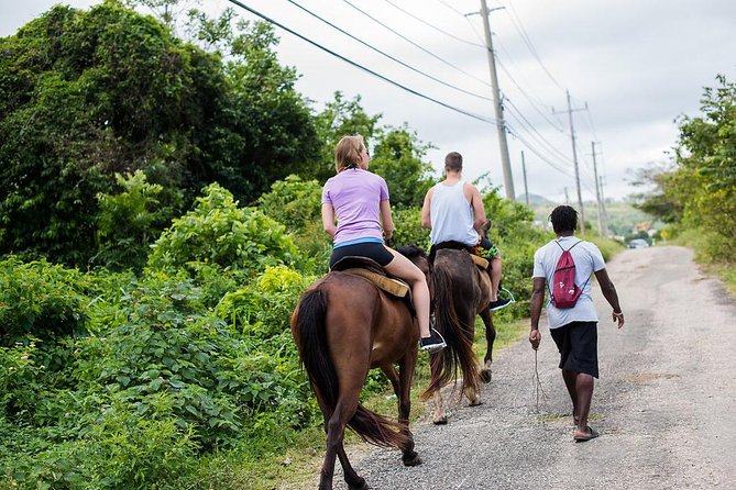 Private Horseback Riding from Ocho Rios with Guide - Choosing a Horse and Getting Comfortable