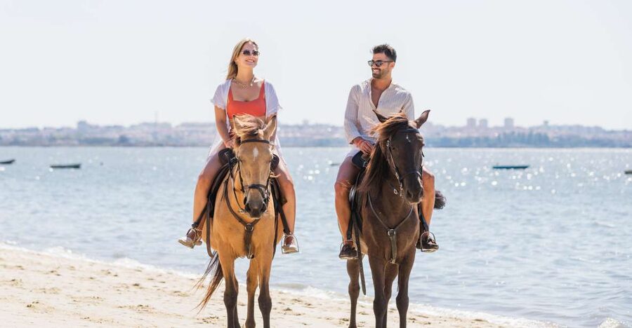 PRIVATE Horseback Riding On The Beach - How the tide shapes your day