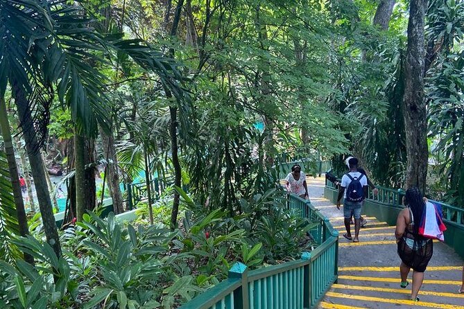Private Horseback Riding, Swimming and Dunn's River Falls Tour - Dunn’s River Falls: climb, swim, or take it easy
