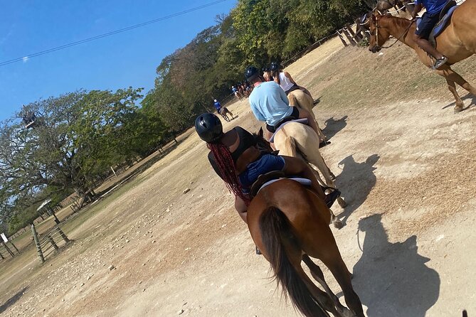 Private Horseback Riding with Blue Hole River Tour in Montego Bay - Leaving Montego Bay in a private vehicle