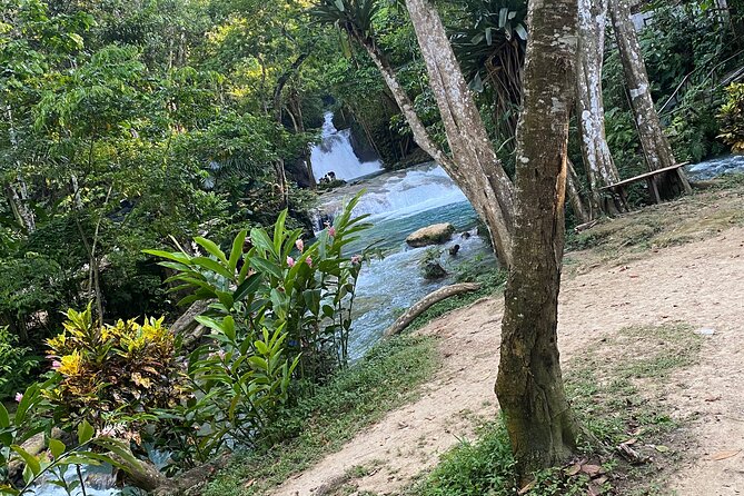 Private Horseback Riding with Blue Hole River Tour in Montego Bay - Blue Hole River: one hour of water and climbing