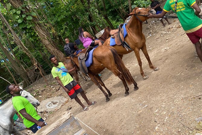 Private Horseback Riding with Blue Hole River Tour in Montego Bay - What the private setup changes