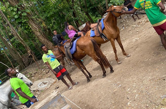 Private Horseback Riding with Blue Hole River Tour in Montego Bay - Practical preparation for a smoother day